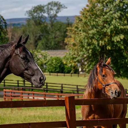 בית נופש Constable Burton *