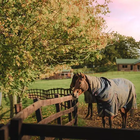 בית נופש Constable Burton Constable Burton