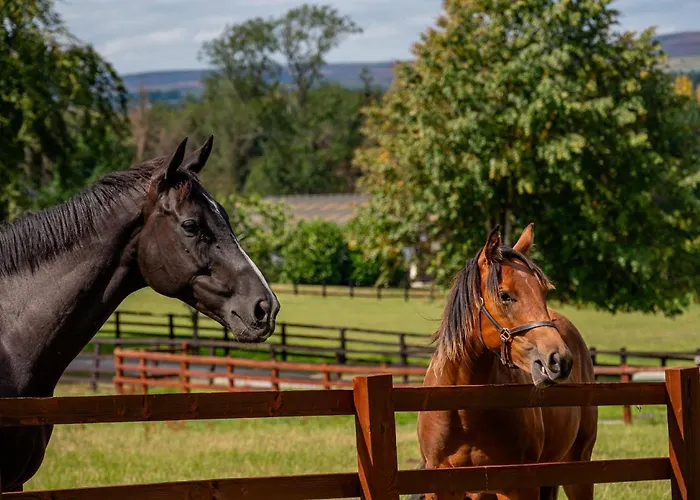 Casa vacanze Constable Burton *