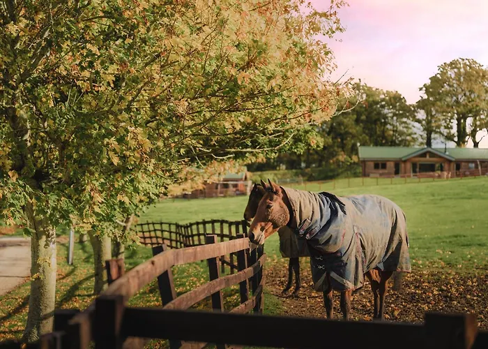 Casa vacanze Constable Burton Leyburn