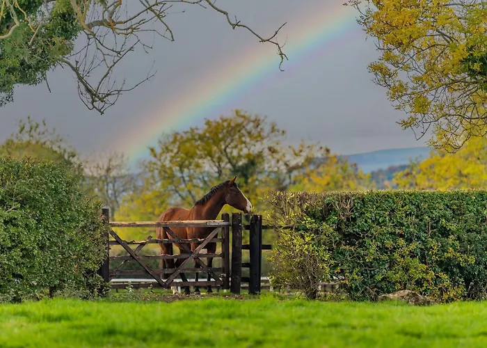 Constable Burton Casa vacanze Leyburn